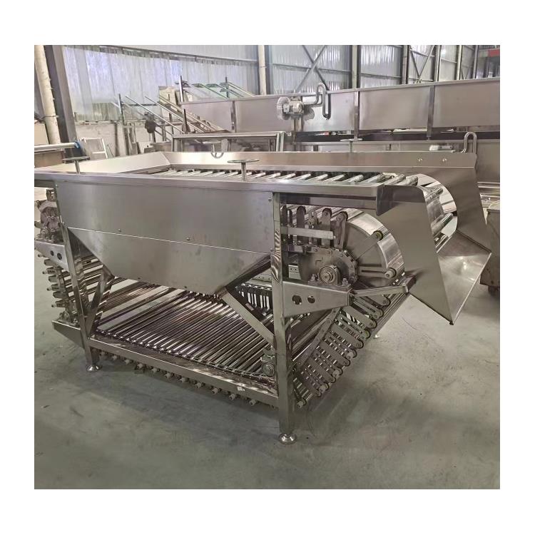 Tianjin Stainless Steel Roller Conveyors, Rotary-Type Grading Machines, Self-rotating Citrus Grading
