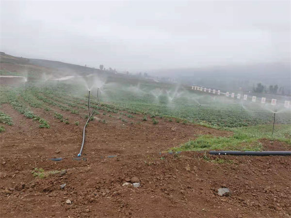 Which is the best lawn irrigation system in Chengdu