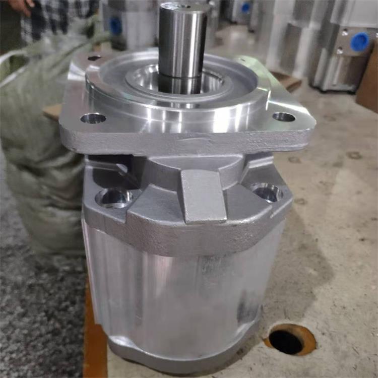 Snowplow oil pump CBGz2100-BLPR gear pump manufacturer