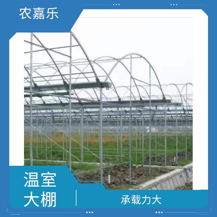 . Shanxi multi-span greenhouse installation—short installation period