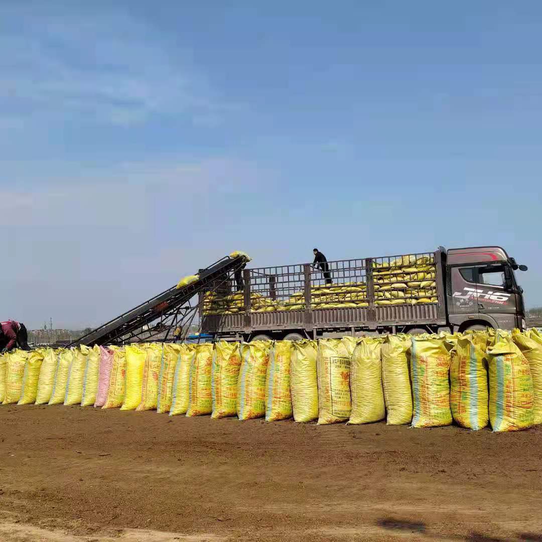 Xinjiang Cow Dung Farmyard Manure—Mushroom Mycelium Fertilizer