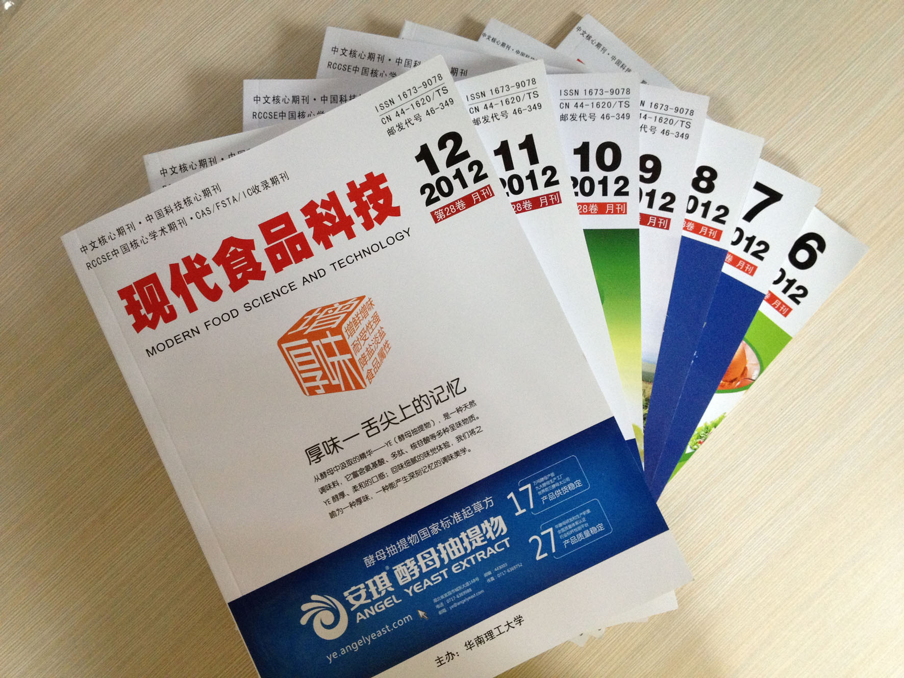 Brochure Printing, Brochure Design and Production, Corporate Product Manuals, Booklets, Subsidiary E