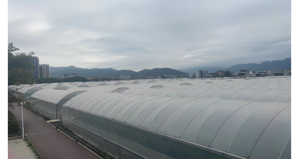 The Importance of Smart Greenhouses in Jiangxi IoT—Guangdong Sanhe Zhongnong Technology Supply