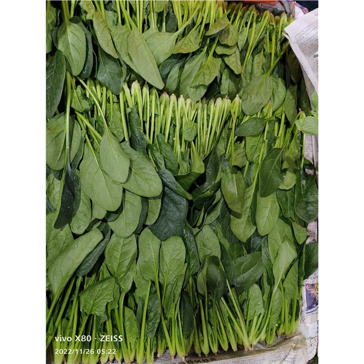 Changan Town Canteen Fruit and Vegetable Delivery—Delivery Center