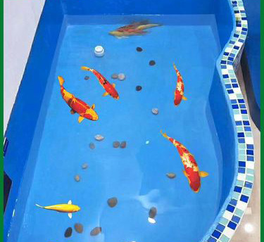 Lidin Manufacturer [Fish Pond Waterproof Paint] Food-Grade Epoxy Resin Waterproof Coating