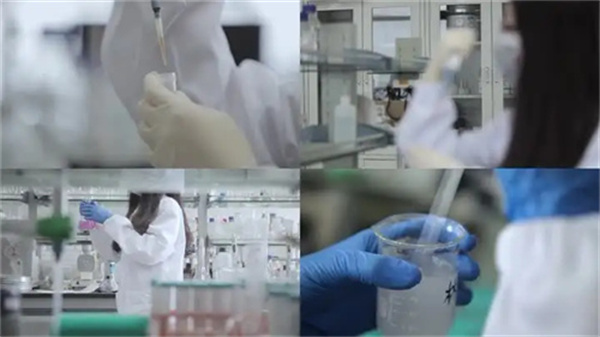 Which is the best Qinpi extract supplier in Chengdu